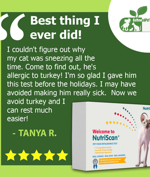 CAT FOOD ALLERGY / SENSITIVITY TEST!