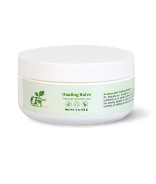 SKIN HEALTH / Healing Skin Salve