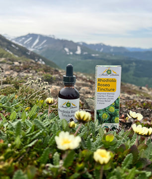 Rhodiola Rosea Tincture – Natural Stress & Energy Support (2 oz)