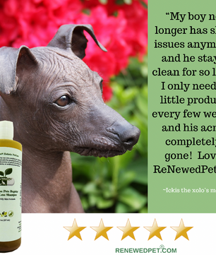 4-HAIRLESS PETS REGULAR CONDITIONER