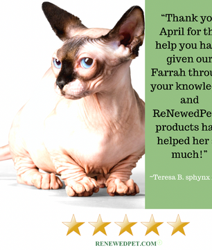 PET HEALTH & BEHAVIOR CONSULTS