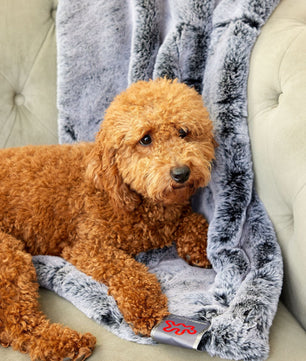 City Mink Lap Blanket by Apartment Therapy