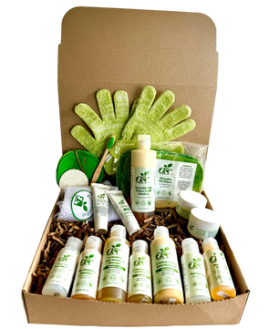 4-HAIRLESS PETS ULTIMATE GROOMING KIT