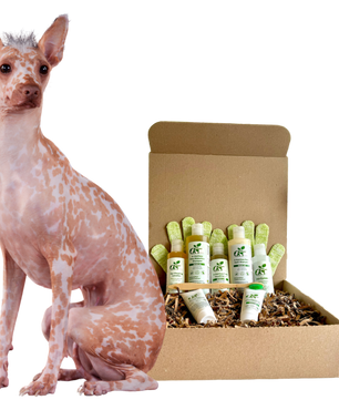 4-HAIRLESS PETS *DOG REGULAR KIT