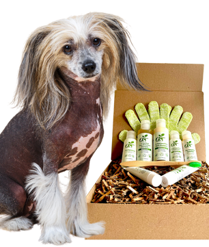 4-HAIRLESS PETS *DOG SENSITIVE KIT