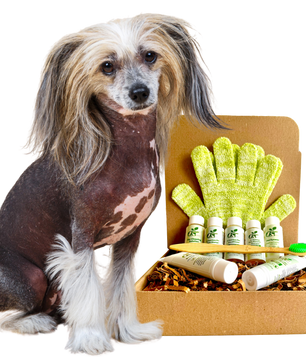 4-HAIRLESS PETS *DOG SENSITIVE KIT