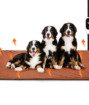 Neighborhood Pet Heating Pad