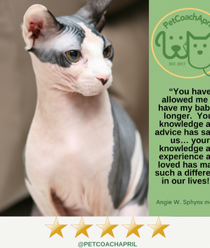 PET HEALTH & BEHAVIOR CONSULTS