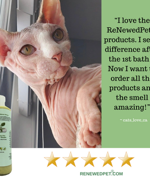 4-HAIRLESS PETS REGULAR CONDITIONER