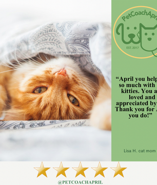 PET HEALTH & BEHAVIOR CONSULTS