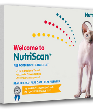 CAT FOOD ALLERGY / SENSITIVITY TEST!
