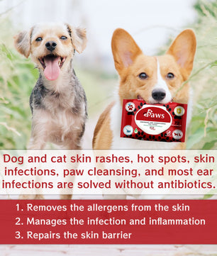 PawsFurUs® Pet Wipes