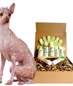 4-HAIRLESS PETS *DOG REGULAR KIT
