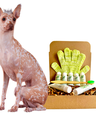 4-HAIRLESS PETS *DOG REGULAR KIT