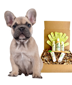 4-FURRY DOGS *REGULAR GROOMING KIT