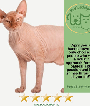 PET HEALTH & BEHAVIOR CONSULTS