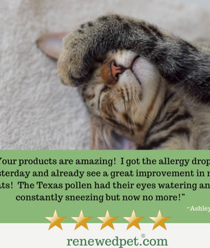 ALLERGY HEALTH/ Allergy-Free Remedy
