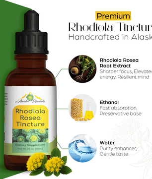 Rhodiola Rosea Tincture – Natural Stress & Energy Support (2 oz)