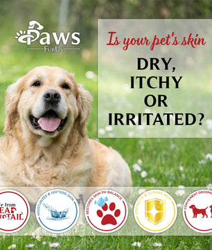 PawsFurUs® Pet Wipes