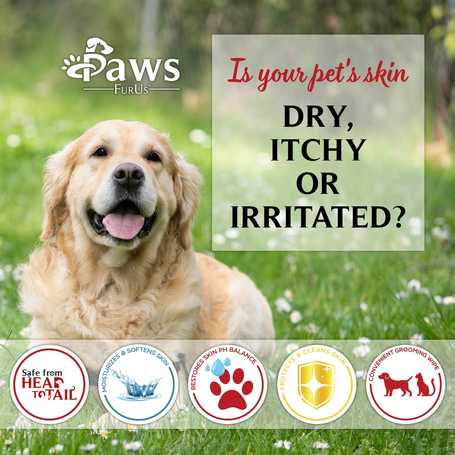 PawsFurUs® Pet Wipes