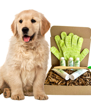 4-FURRY DOGS *RESTORATIVE GROOMING KIT