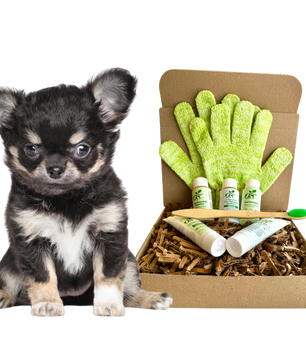 4-FURRY DOGS *SENSITIVE GROOMING KIT