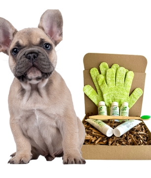4-FURRY DOGS *REGULAR GROOMING KIT