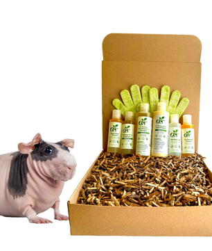 4-HAIRLESS PETS *SKINNYPIG REGULAR KIT