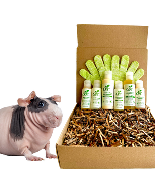 4-HAIRLESS PETS *SKINNYPIG REGULAR KIT