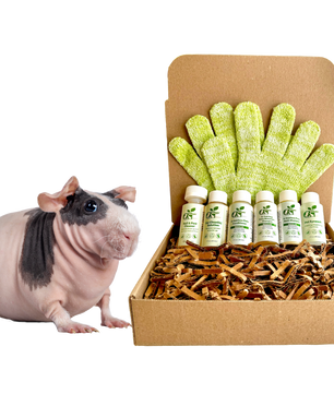4-HAIRLESS PETS *SKINNYPIG REGULAR KIT