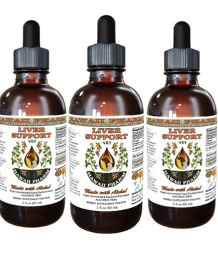 LIVER HEALTH/ Liver Support Remedy