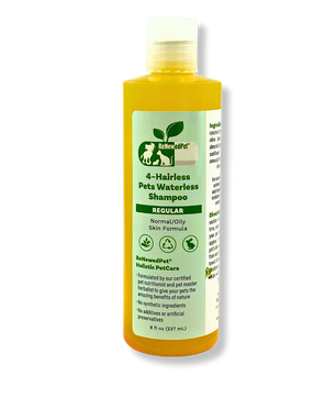 4-HAIRLESS PETS REGULAR WATERLESS SHAMPOO
